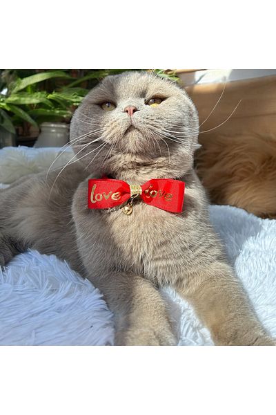 Melo Love Red Cat and Small Breed Dog Collar