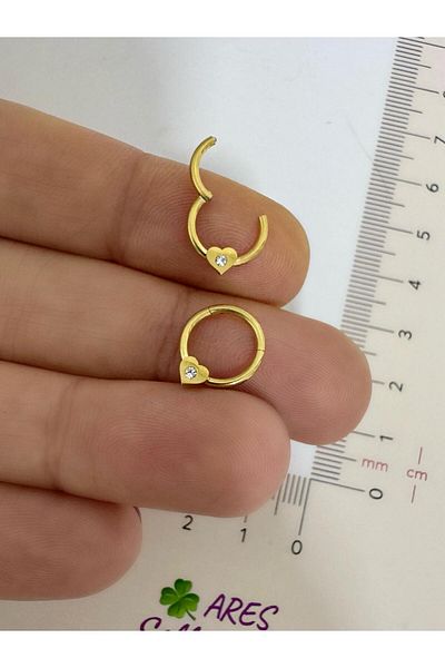 Arescollection 316L Surgical Steel Heart Daith Septum Compatible 1 Piece Ring Piercing