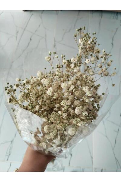 Handmade Gerçek şoklanmış cipso 1 paket(55 gr) , şoklanmış cipso, kuru çiçek