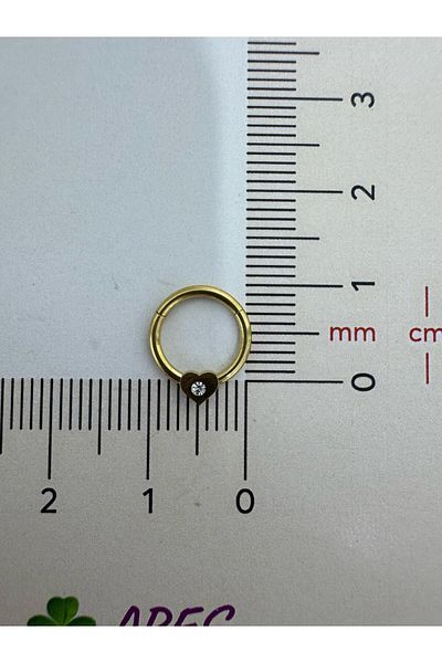 Arescollection 316L Surgical Steel Heart Daith Septum Compatible 1 Piece Ring Piercing