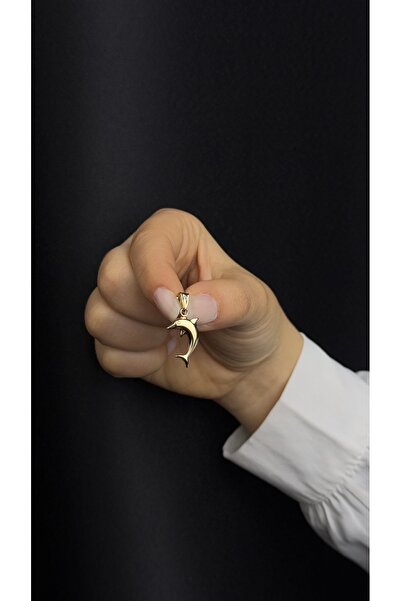 Üresinler Kuyumculuk 14 Ayar Altın Yunus Balık Kolye Ucu Charm