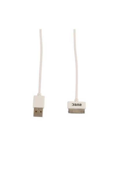 Avec Av W102 Usb-ıp4/4s 1m Kablo