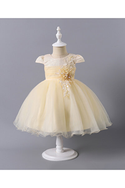 Mark & Mia Mark & Mia Floral Embroidered & Pearl Detailed Cap Sleeves Dress -...