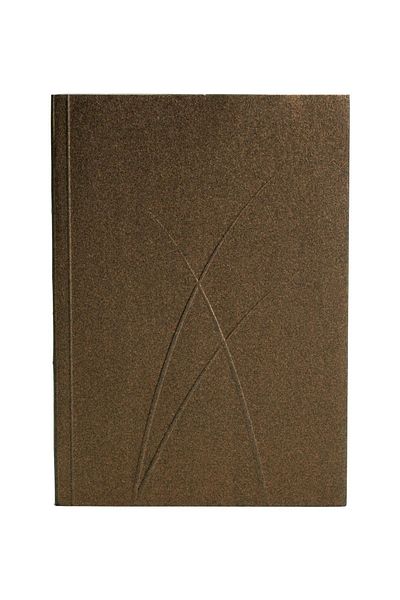 Paper-Oh Puro Bronze A6 Lined 128 Pages 100gsm Notebook (Pack of 2)