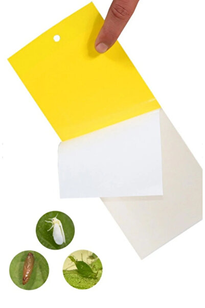 NAHAMİS TRADE Sinek Ve Böcekler Için Sarı Yapışkan Tuzak 20 X 10 cm - 10'lu