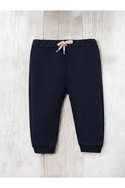 Necix's Colorful Trees Hooded Three Rope Charded College Jacket Set of 3