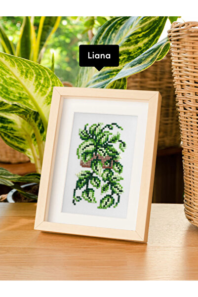 Diamond Club Ev Bitkileri Kiti 🪴12 Motifli Elmas Tablo - Mozaik Tablo Puzzle Seti | Diamond Painting