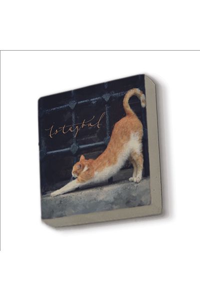 Sadrazam Istanbul Cat Printed Natural Stone Magnet 5X5 Krt-63