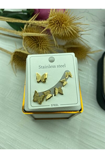 stainless steell Kadın 6 Lı Kelebek Set Küpe