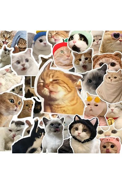 Major Selection Σετ αυτοκόλλητων 100 τεμαχίων Crazy Cat Σετ αυτοκόλλητων για φορητό υπολογιστή tablet