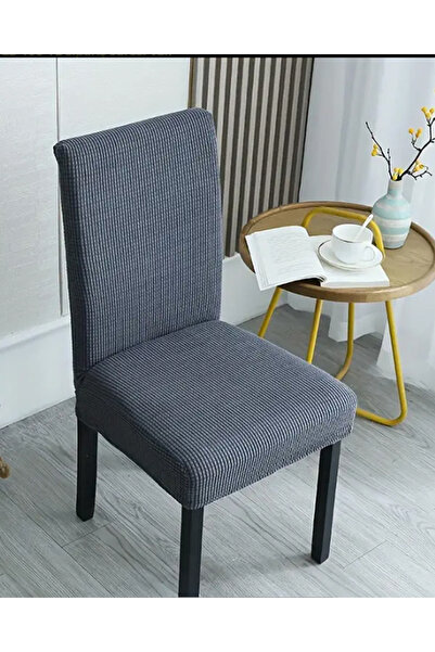 HANİDAN 1 Piece Lycra Chair Cover, Chair Cover