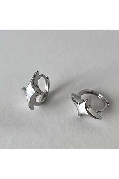 Choice Earrings Foxanry Star Geometric Hoop Earrings For Women Couples Minima...