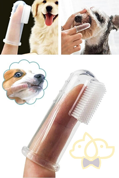 PapyonPet Silikon Kedi Ve Köpek Parmak Diş Fırçası Evcil Hayvan Diş Bakım Fır...