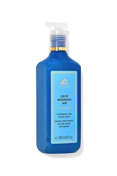 Bath & Body Works Crisp Morning Air Cleansing Gel Hand Soap