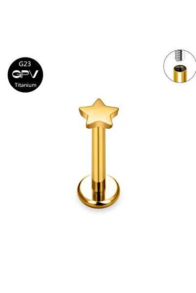 Bylin G23 Titanyum Yıldız Kıkırdak Piercing/Labret Piercing-Helix- Tragus Bar...