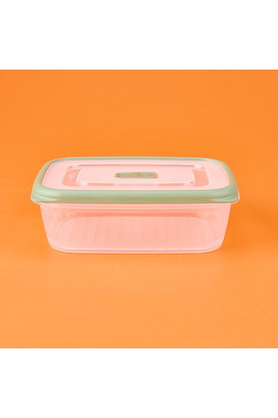Gondol Plastic Storage Container - Transparent / Green - 1 Lt