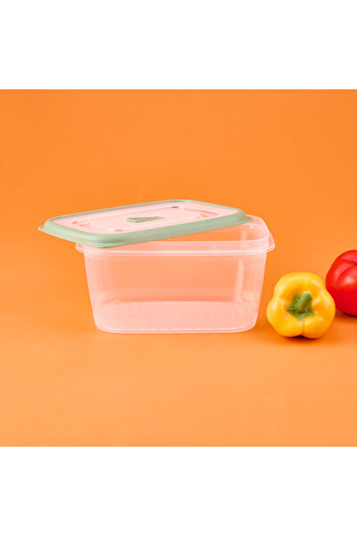 Gondol Plastic Storage Container - Transparent / Green - 1.7 Lt
