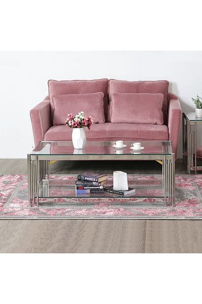 Danube Home Naill Coffee Table  L120xW60xH42cm - Stainless Steel