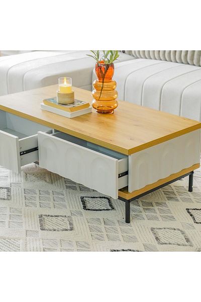 Danube Home Delmar Centre Table with 2 Drawers  L120xW60xH42cm - Natural/Grey