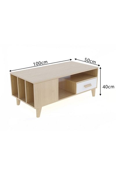 Danube Home Renzo Coffee Table  L50xW100xH40cm - Natural Oak