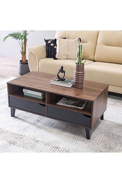 Danube Home Jilly 2 Drawer Coffee Table  L110xW55xH47cm - Columbia/Black