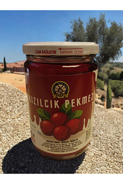 Burdur Hasat 850 ml Doğal Kızılcık Pekmezi