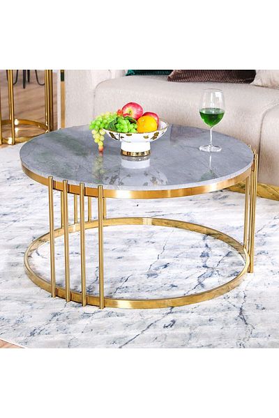 Danube Home Armadillo Coffee Table  L85xW85xH46cm - Grey / Gold