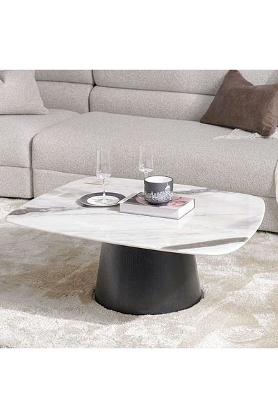 Danube Home Solace Coffee Table + End Table Set  L100.3xW80.7xH37.5cm - Marble