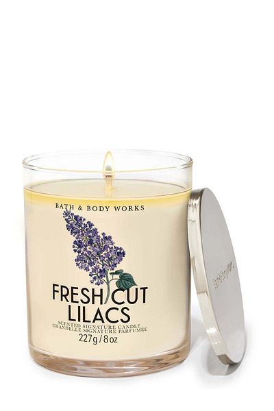 Bath & Body Works شمعة فريش كات أرجوانية مميزة بفتيلة واحدة