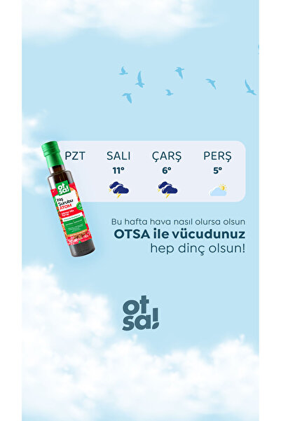 Otsa Atom Kış Şurubu Kozalak Pekmezi, Zencefil, Ekinezya ve Bitki Ekstraktları İçeren Doğal Karışım 350g