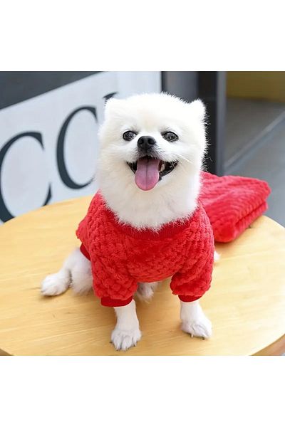 Lady Fify Red/Beige Sweater with Teddy Bear for Cat Dog
