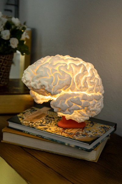 MEK Beyin Tasarımlı Gerçekçi Gece Lambası