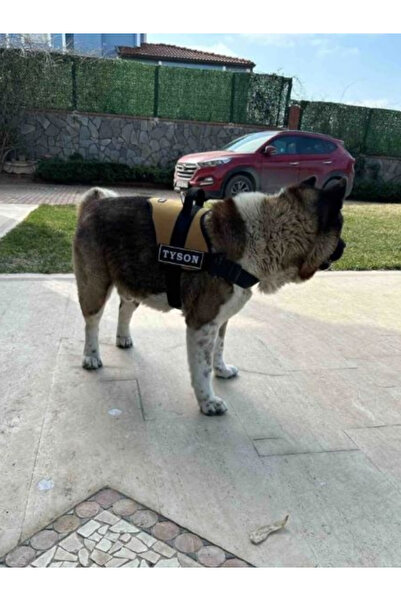 Genel Markalar Kişiye Özel, Isimli K9 Köpek Tasması, Göğüs Tasması