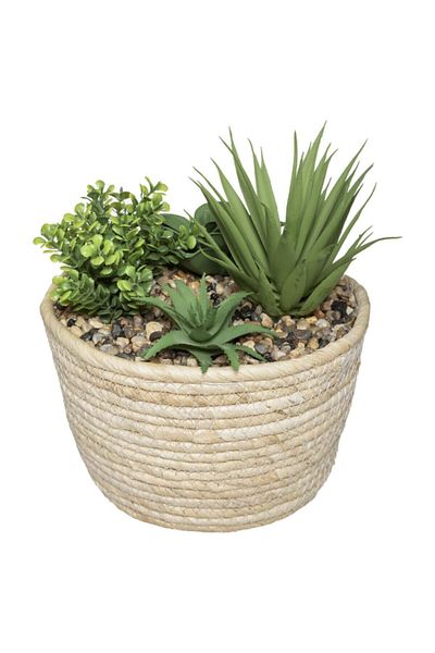 Atmosphera Easy Maintenance Realistic Looking Decorative Artificial Plant with Pot 19cm