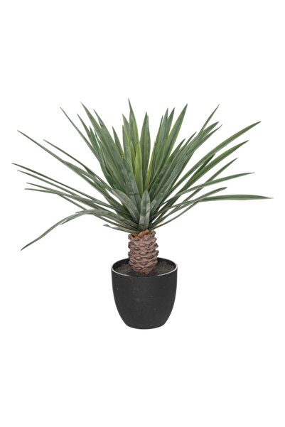 Atmosphera Easy Maintenance Realistic Looking Decorative Artificial Palm Tree...
