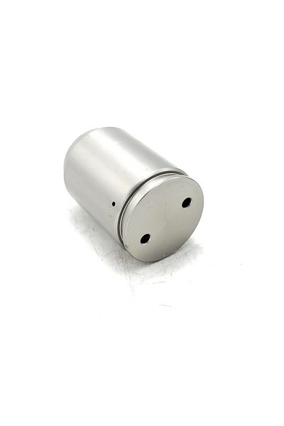 EXPERT Caliper Mechanism Piston (2 Pieces)