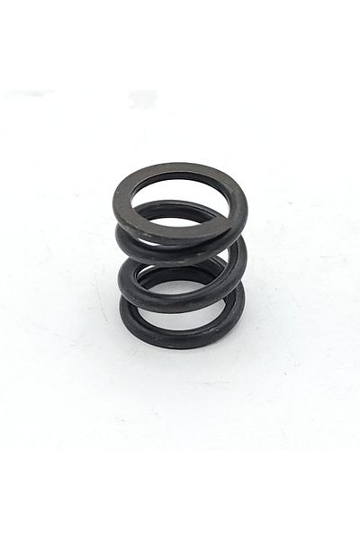 EXPERT Caliper Mechanism Part Internal Spring Bosch Type (5 Pcs)