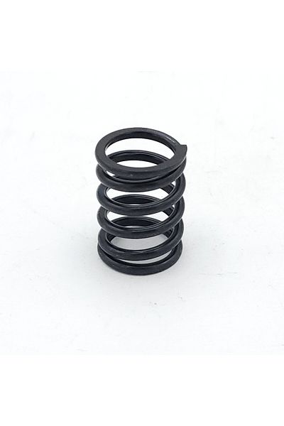 EXPERT Caliper Mechanism Part Internal Spring Mando Type (5 Pieces)
