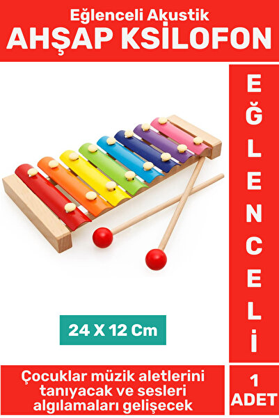 Wintoup Premium Eğlenceli Eğitici Müzik Aletleri Ses Algısı Tanıma Tın Ton Ay...