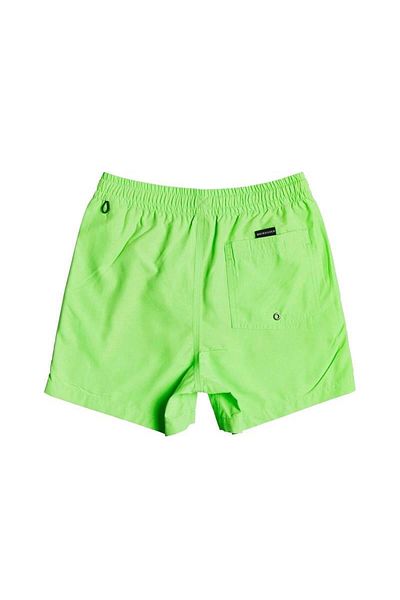 Quiksilver Evdayvlyth13 B Jamv Παιδικό σορτς Eqbjv03254-ggy0 Πράσινο