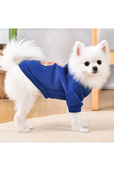 Lady Fify Blue Sweatshirt with Teddy Bear for Cat Dog