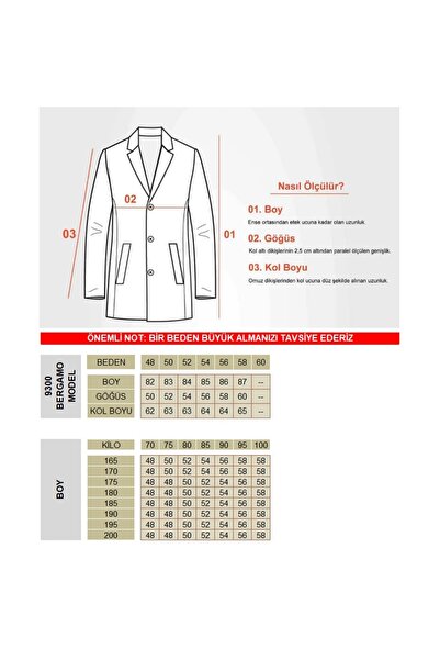 Frappoli Men's Regular Fit Stand Collar Cashmere Coat