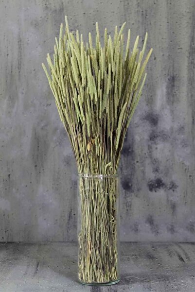 Dekorsende Kurutulmuş Solucan Otu Demeti