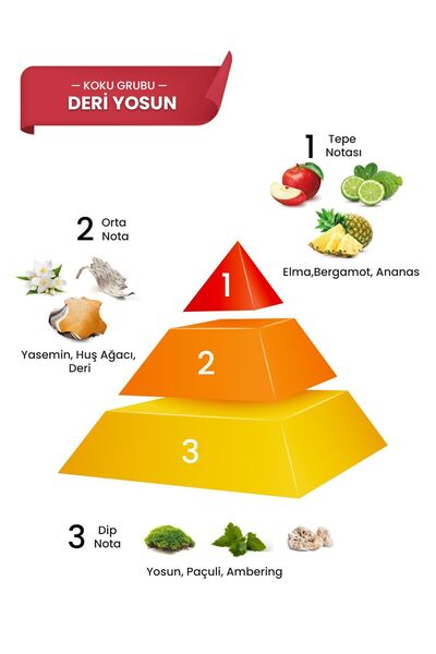 prova Advantage Ve Invisible Edp Erkek Parfüm Seti 2 X 120 ml