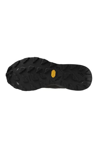 MIZUNO Wave Daichi 9 Gtx Men's Running Black Shoes