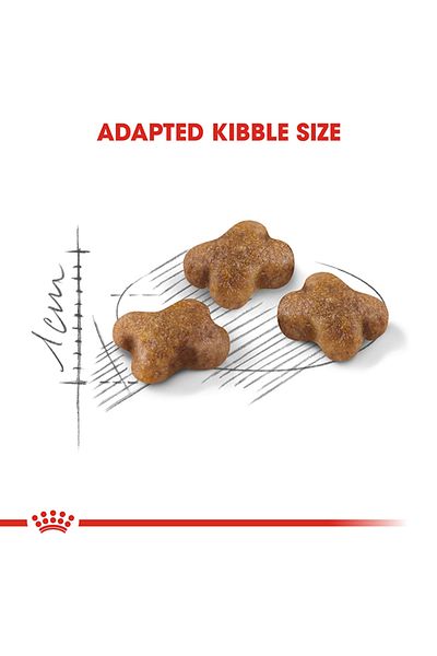 Royal Canin Feline Health Nutrition Kitten Stage 3 4kg