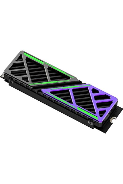 Hiksemi Future X PCIE Gen4 Nvme 1024 GB Soğutuculu Dahili SSD