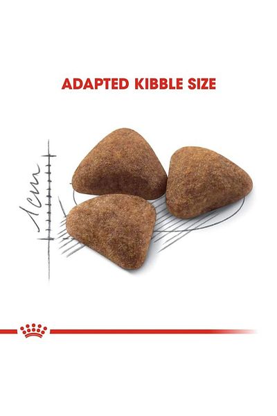 Royal Canin Home Life Indoor Food 2kg