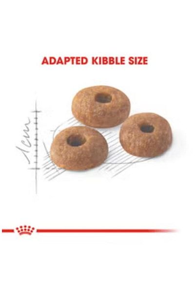 Royal Canin Feline Health Nutrition Fit 32 400g