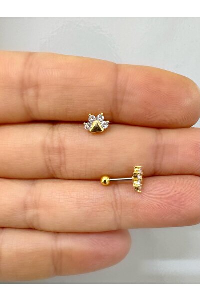 Arescollection 1 ADET ÇELİK BARLI ZİRKON TAŞLI PATİ ŞEKLİNDE TRAGUS HELİX KIKIRDAK LOBE UYUMLU PİERCİNG KÜPE